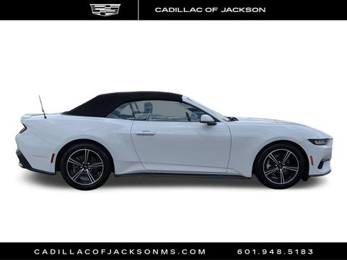 Used 2024 Ford Mustang Premium RWD image 4