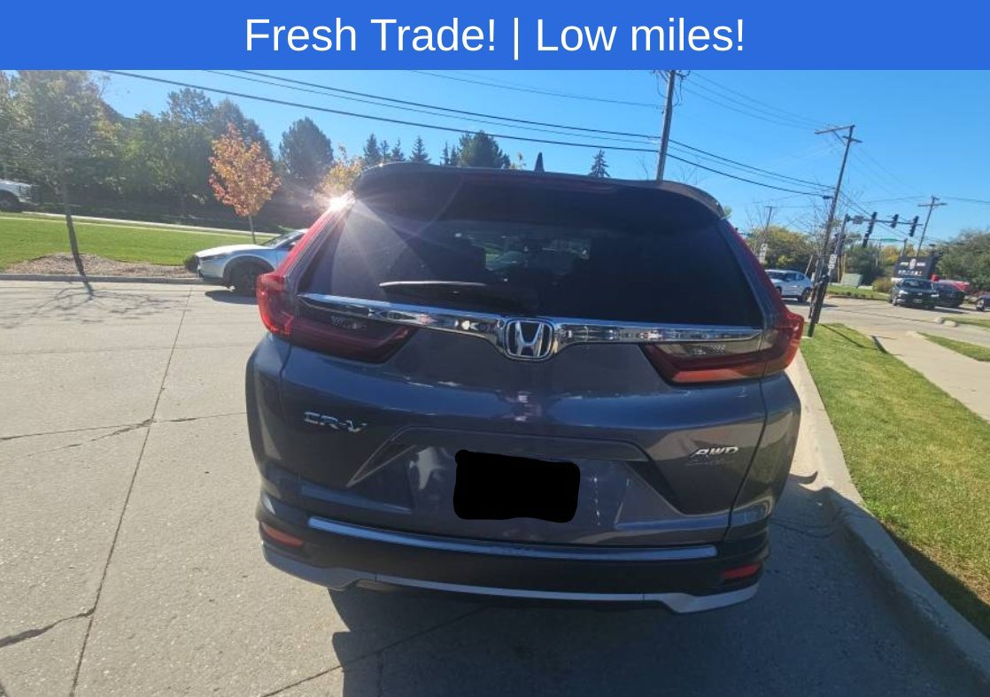 Used 2020 Honda CR-V EX-L image 5