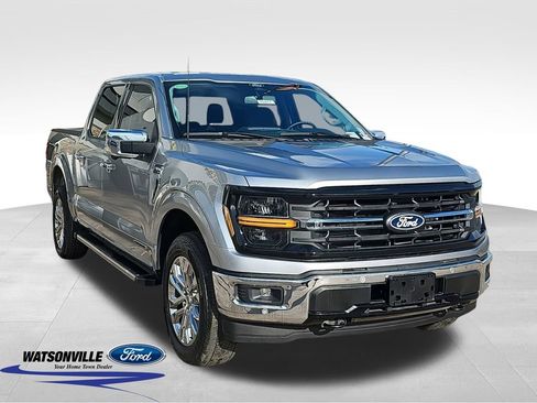 New 2025 Ford F150 XLT w/ Equipment Group 303A High image 1