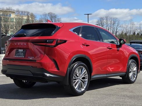 Used 2025 Lexus NX 350h AWD w/ Cold Area Package image 32