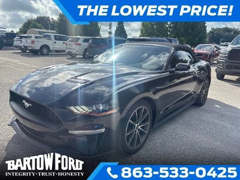 Used 2019 Ford Mustang Convertible w/ Equipment Group 101A RWD image 1