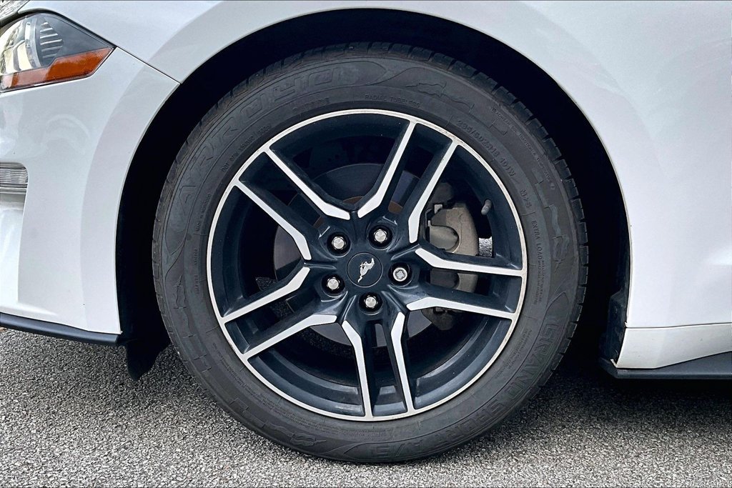 Used 2023 Ford Mustang Premium w/ Equipment Group 201A RWD image 11