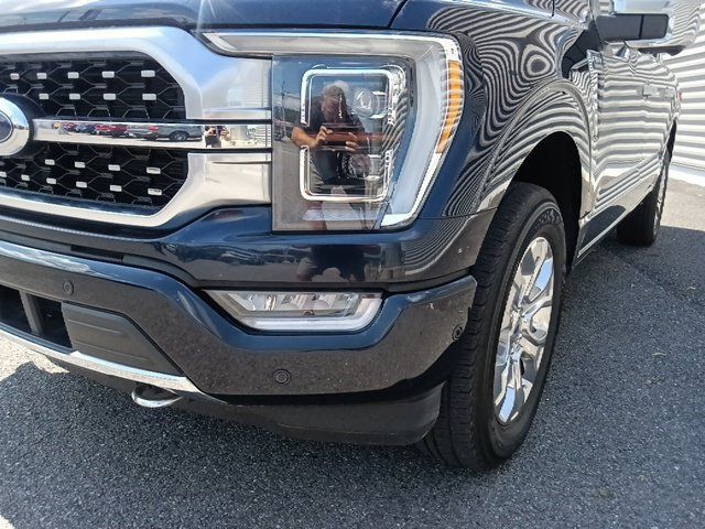 Used 2023 Ford F150 Platinum w/ Equipment Group 701A High AWD/4WD image 9