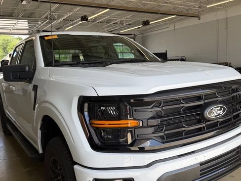 Used 2025 Ford F150 XLT w/ Equipment Group 301A Standard AWD/4WD image 4