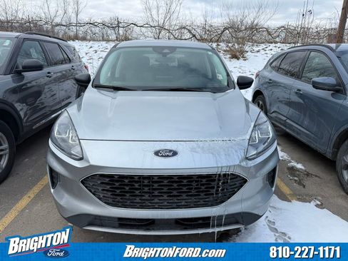 Used 2022 Ford Escape SE w/ Convenience Package image 2