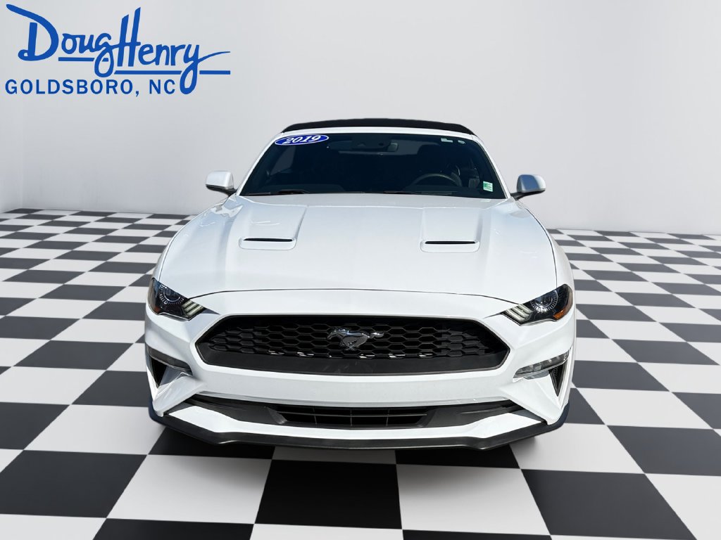 Used 2019 Ford Mustang Convertible w/ Ecoboost Performance Package RWD image 8