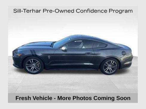 Used 2016 Ford Mustang Premium w/ Equipment Group 201A image 1