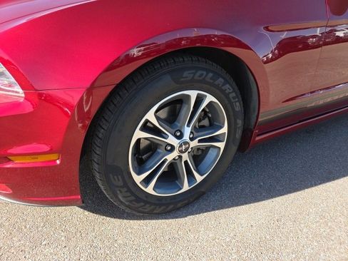 Used 2014 Ford Mustang Premium w/ Equipment Group 201A image 12