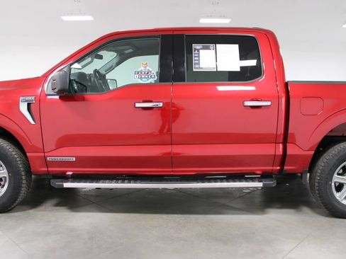 Used 2025 Ford F150 XLT w/ Equipment Group 301A Standard AWD/4WD image 6