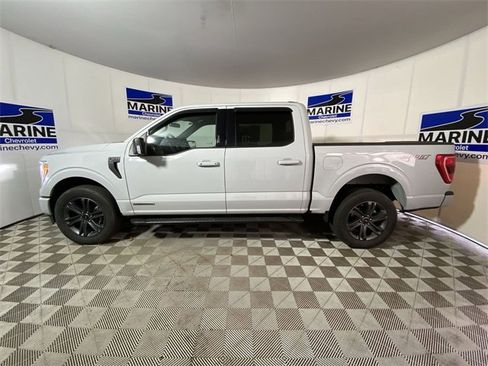 Used 2023 Ford F150 XLT w/ Equipment Group 302A High image 13