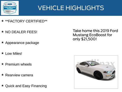 Certified 2019 Ford Mustang Coupe w/ Black Accent Package image 13