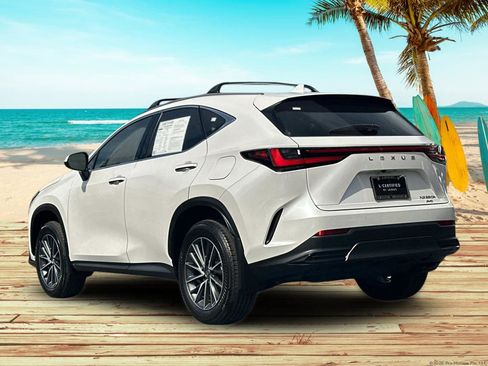 Used 2025 Lexus NX 350h AWD w/ Premium Package image 4