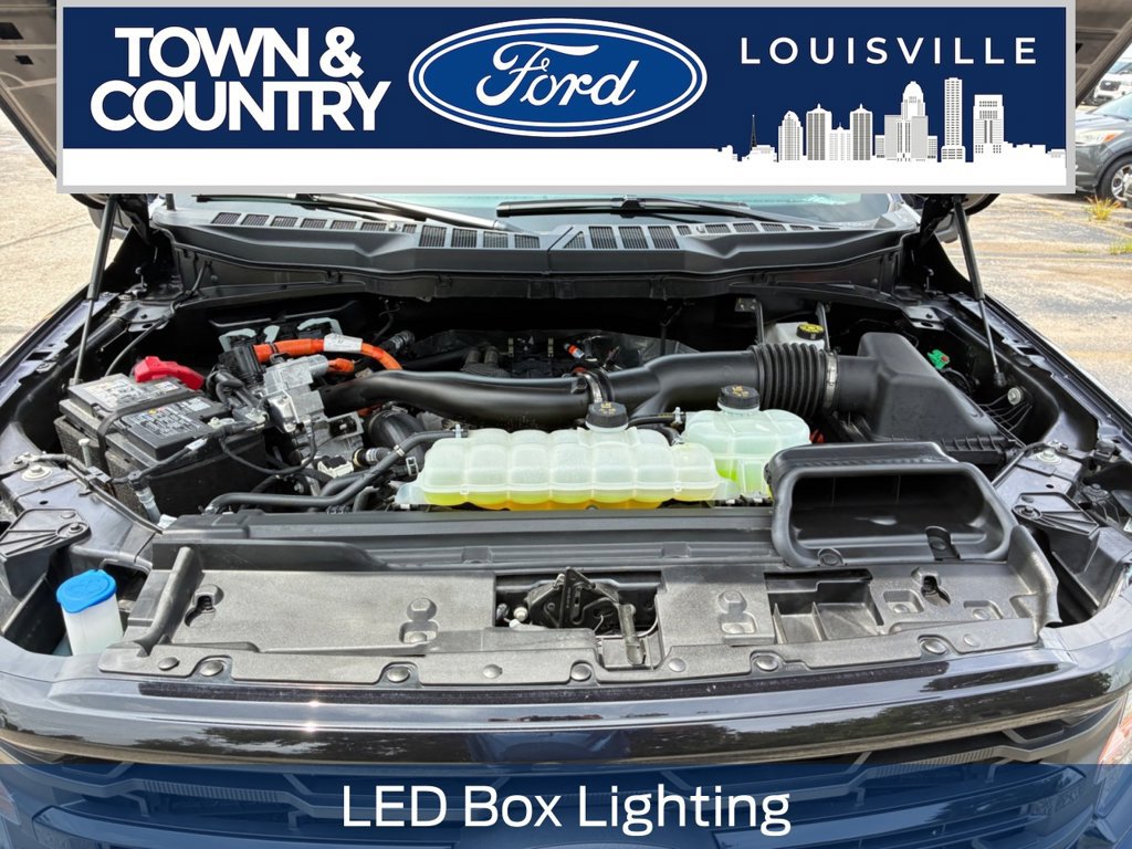 Used 2025 Ford F150 XLT w/ Equipment Group 302A MID AWD/4WD image 27