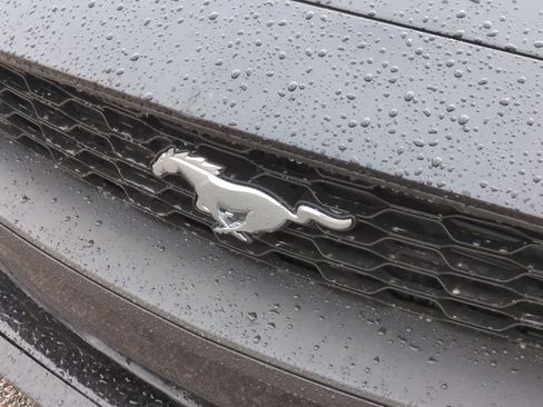 Used 2018 Ford Mustang EcoBoost w/ Equipment Group 101A image 13