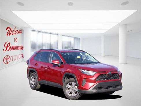 Certified 2025 Toyota RAV4 XLE image 2