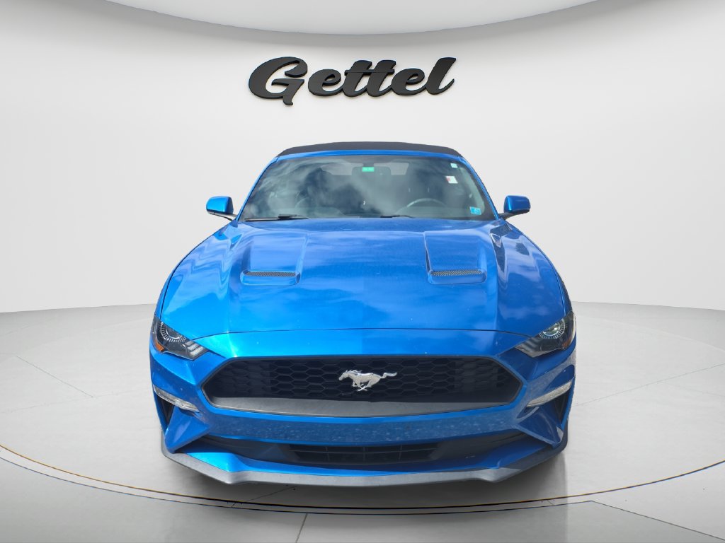 Used 2019 Ford Mustang Convertible RWD image 2