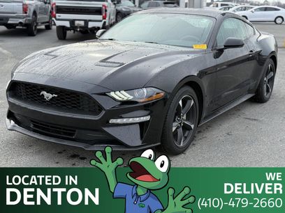 Used 2019 Ford Mustang EcoBoost w/ Equipment Group 101A