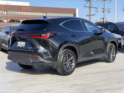Used 2025 Lexus NX 350h AWD w/ Cold Area Package image 3