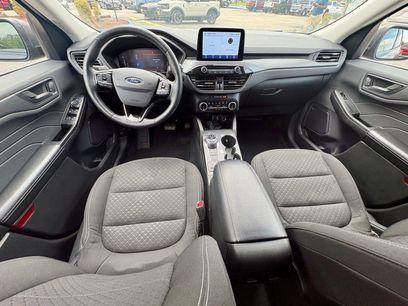 Used 2024 Ford Escape Active