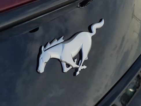 Certified 2024 Ford Mustang Premium image 5