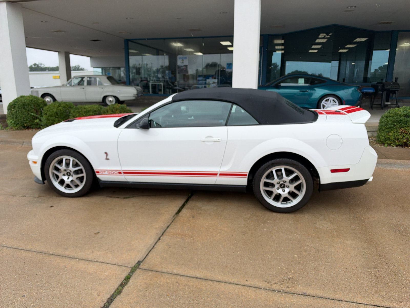 Used 2008 Ford Mustang Shelby GT500 RWD image 9