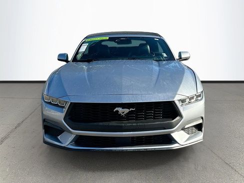 Used 2024 Ford Mustang Premium image 2