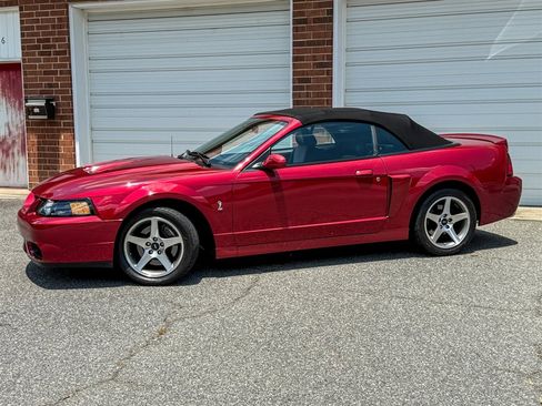 Used 2004 Ford Mustang Cobra RWD image 4