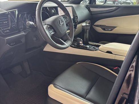 Certified 2024 Lexus NX 250 FWD image 4
