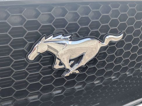 Used 2019 Ford Mustang GT Premium w/ GT Performance Package RWD image 14