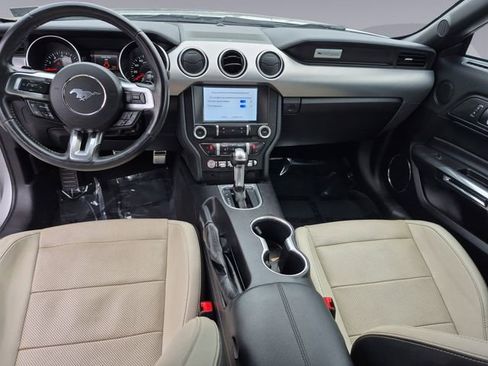 Used 2019 Ford Mustang Premium image 12