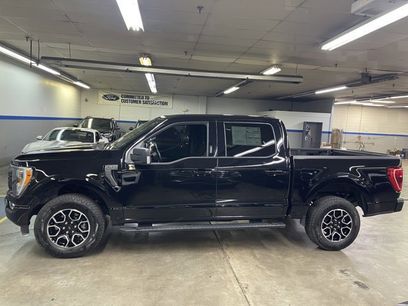 Certified 2023 Ford F150 XLT w/ Equipment Group 302A High