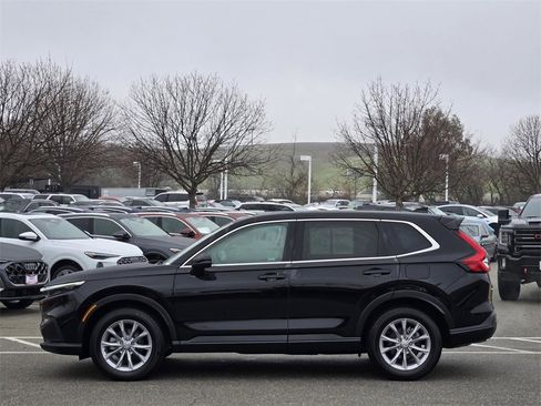 Used 2025 Honda CR-V EX-L image 7