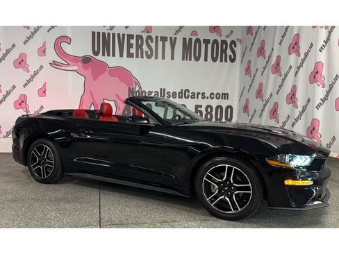 Used 2018 Ford Mustang Premium w/ Equipment Group 201A RWD image 3