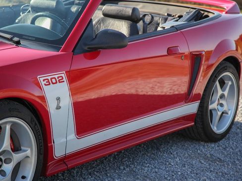 Used 1999 Ford Mustang Cobra RWD image 6