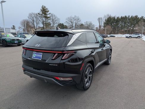 Used 2024 Hyundai Tucson Limited image 6