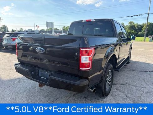 Used 2019 Ford F150 XLT w/ Equipment Group 302A Luxury AWD/4WD image 35