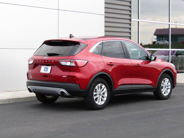 Used 2020 Ford Escape SE AWD/4WD image 7