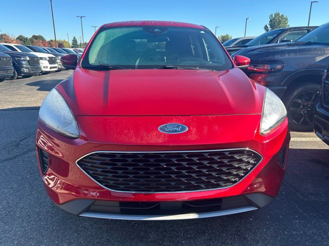 Used 2020 Ford Escape SE AWD/4WD image 6