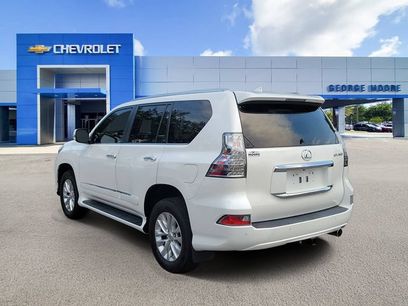 Used 2019 Lexus GX 460 Premium w/ Premium Package