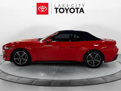 Used 2024 Ford Mustang Premium