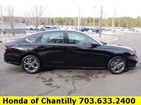 Used 2025 Honda Accord EX-L image 8