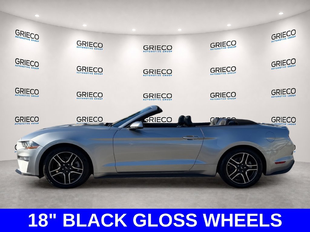 Used 2020 Ford Mustang Premium RWD image 4