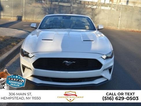 Used 2023 Ford Mustang Premium w/ Equipment Group 201A RWD image 3