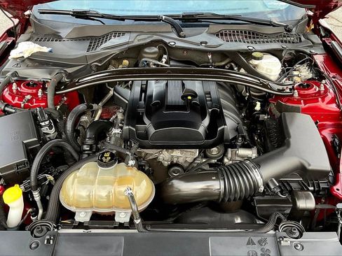 Used 2019 Ford Mustang Coupe w/ Ecoboost Performance Package image 9