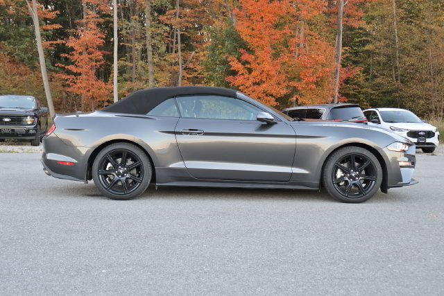 Used 2019 Ford Mustang Convertible w/ Equipment Group 101A RWD image 6