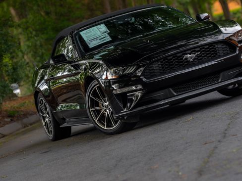 Used 2019 Ford Mustang Premium w/ Equipment Group 201A RWD image 28