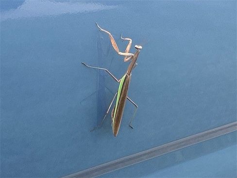 New 2025 Ford Bronco Sport Heritage w/ Convenience Package image 14