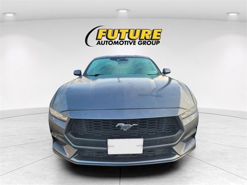 Certified 2024 Ford Mustang EcoBoost image 2