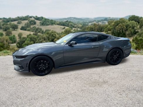 Used 2024 Ford Mustang Premium w/ Mustang Nite Pony Package RWD image 4