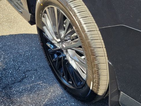 New 2026 INFINITI QX80 Autograph w/ Premium Cargo Package image 5